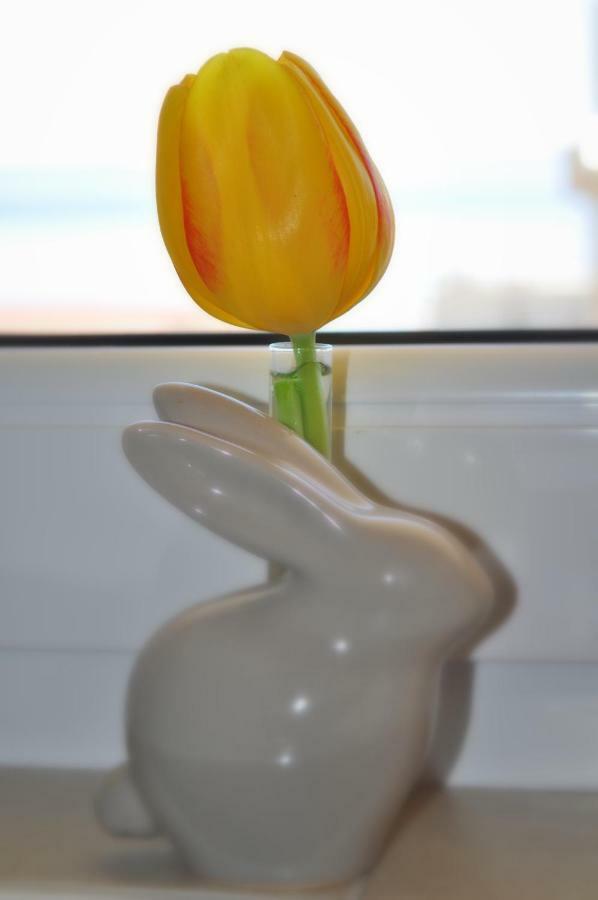 Apartment Veselko Makarska